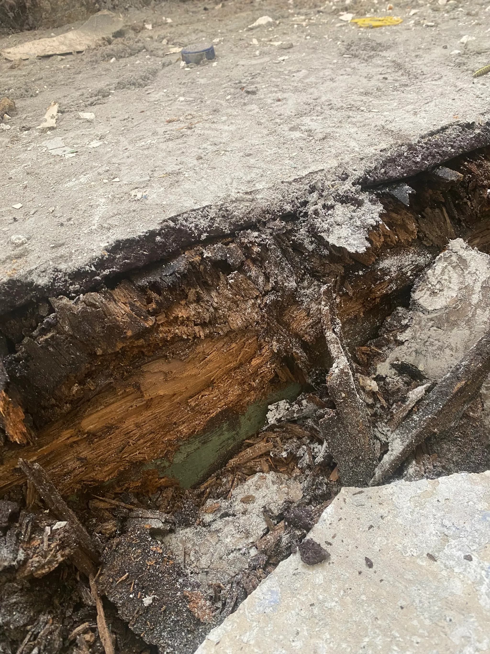 Couch Co Showroom 2 - Image 10